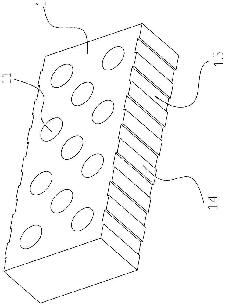 Hollow fly ash brick and manufacturing method thereof