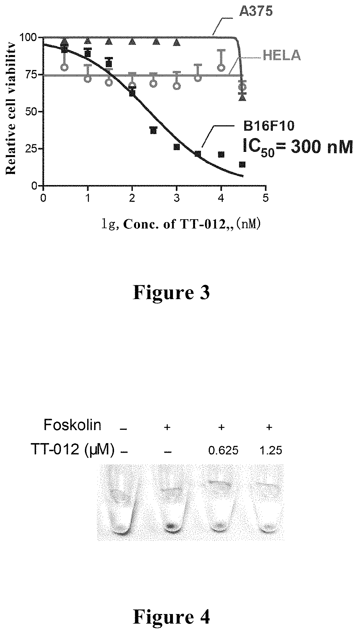 Use of aromatic ring drug in inhibiting key transcription factor of malignant melanoma