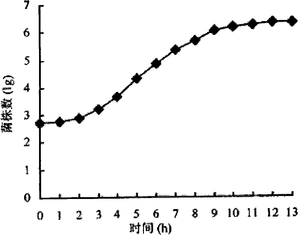 Construction method of onion pseudomonas genetic engineering bacteria