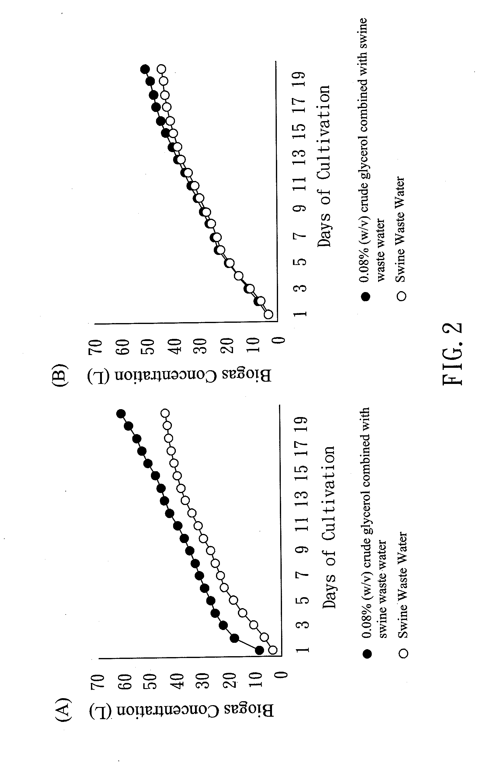 Microalgae for Removal of Carbon Dioxide Generated from Biogas and Biogas Electric Generator