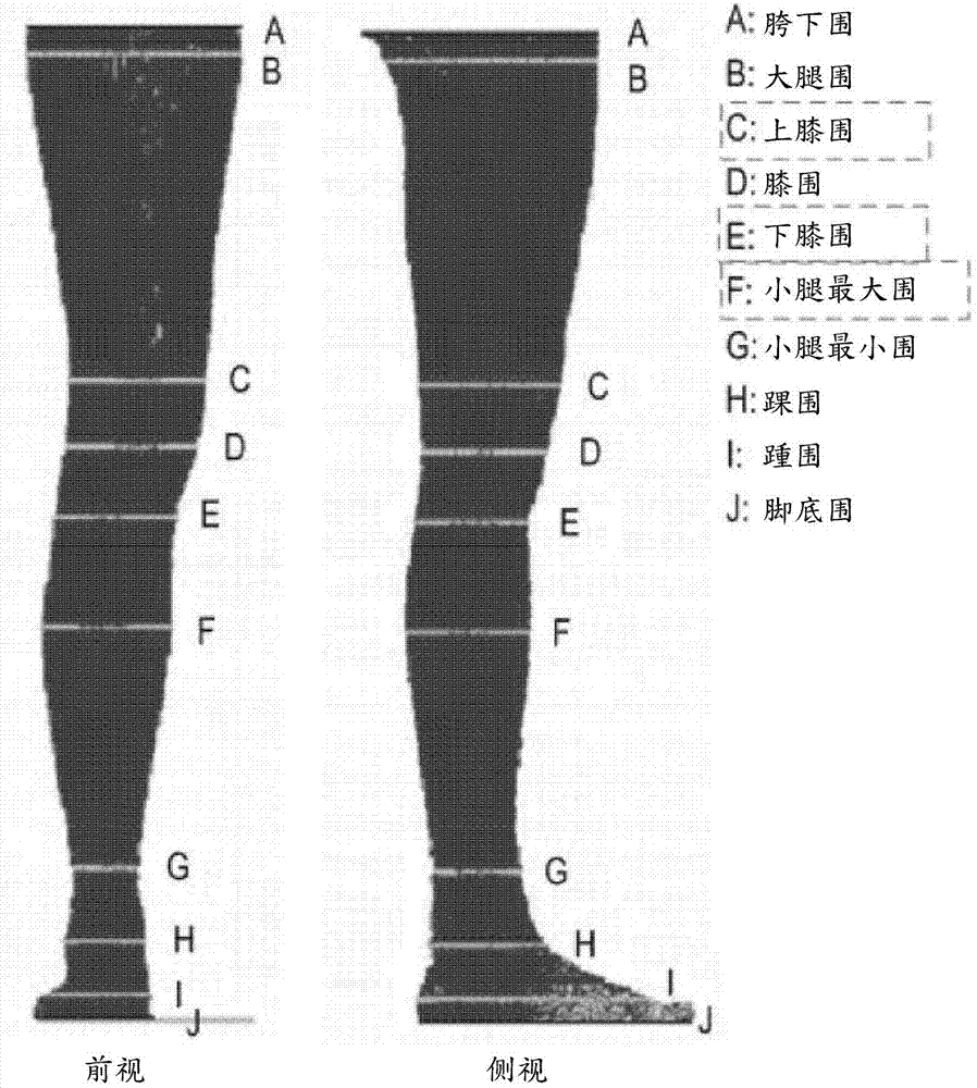 Feature-based data structure for digital manikin