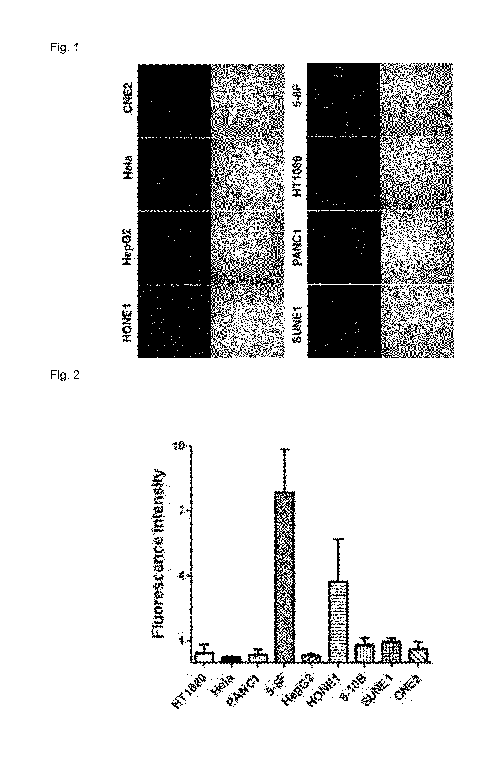 A dual-targeted therapeutic peptide for nasopharyngeal carcinoma, nanoparticles carrying same and uses thereof