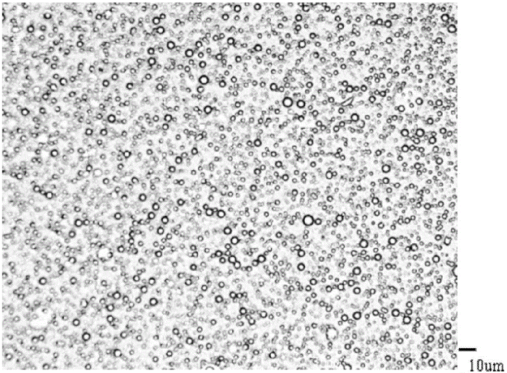 Emulsifier composition and use thereof