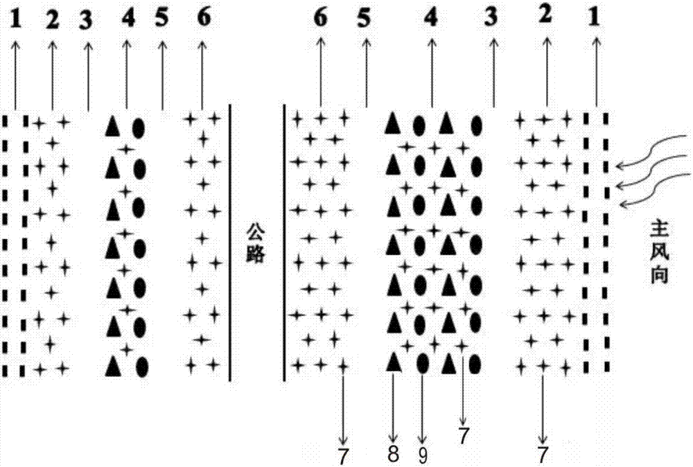 Construction method of highway protection forest