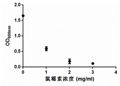 Pichia pastoris expression vector taking chloramphenicol as screening marker and application thereof