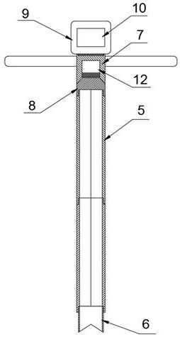 Multifunctional soil sampling device