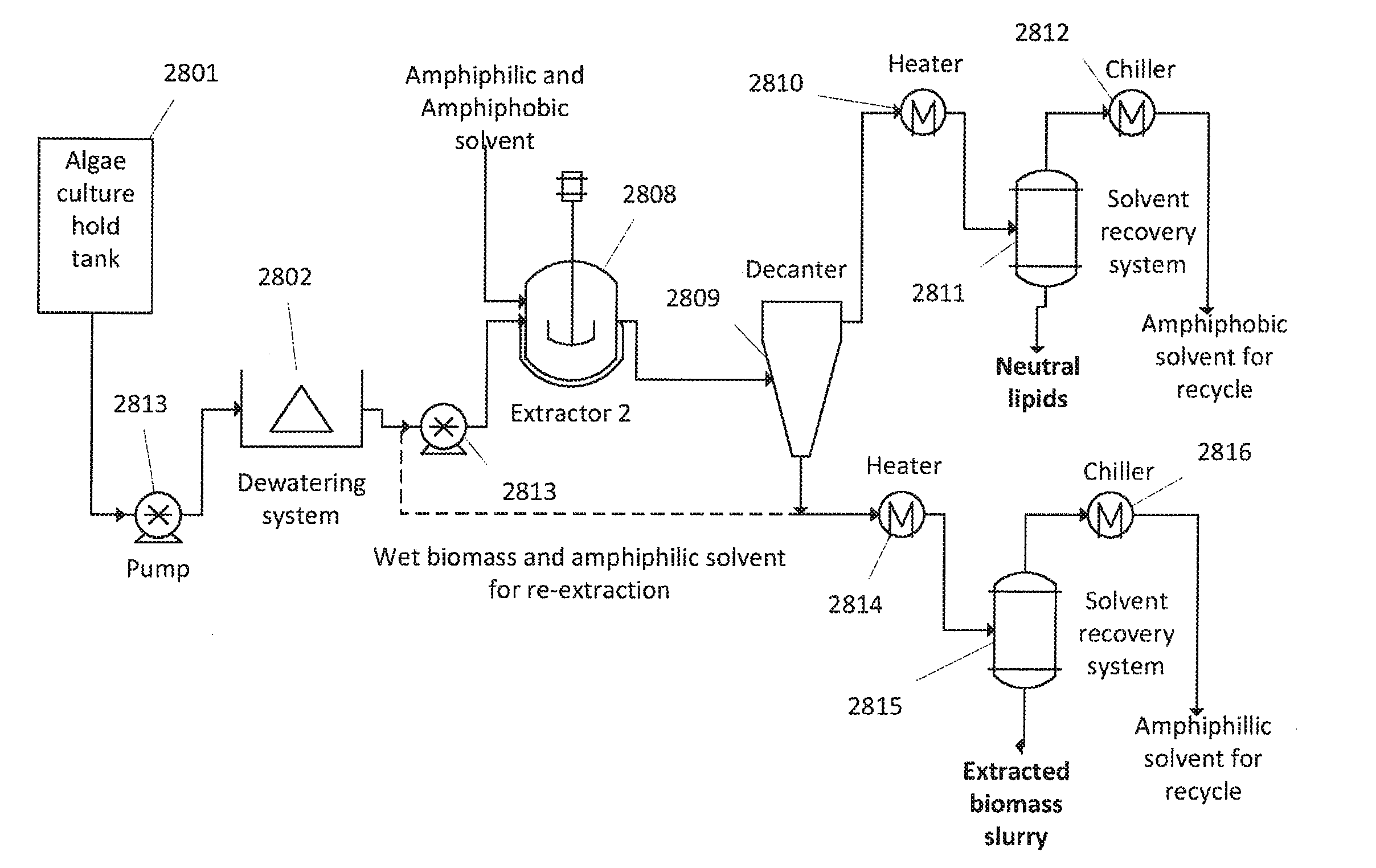 Method of extracting neutral lipids with two solvents