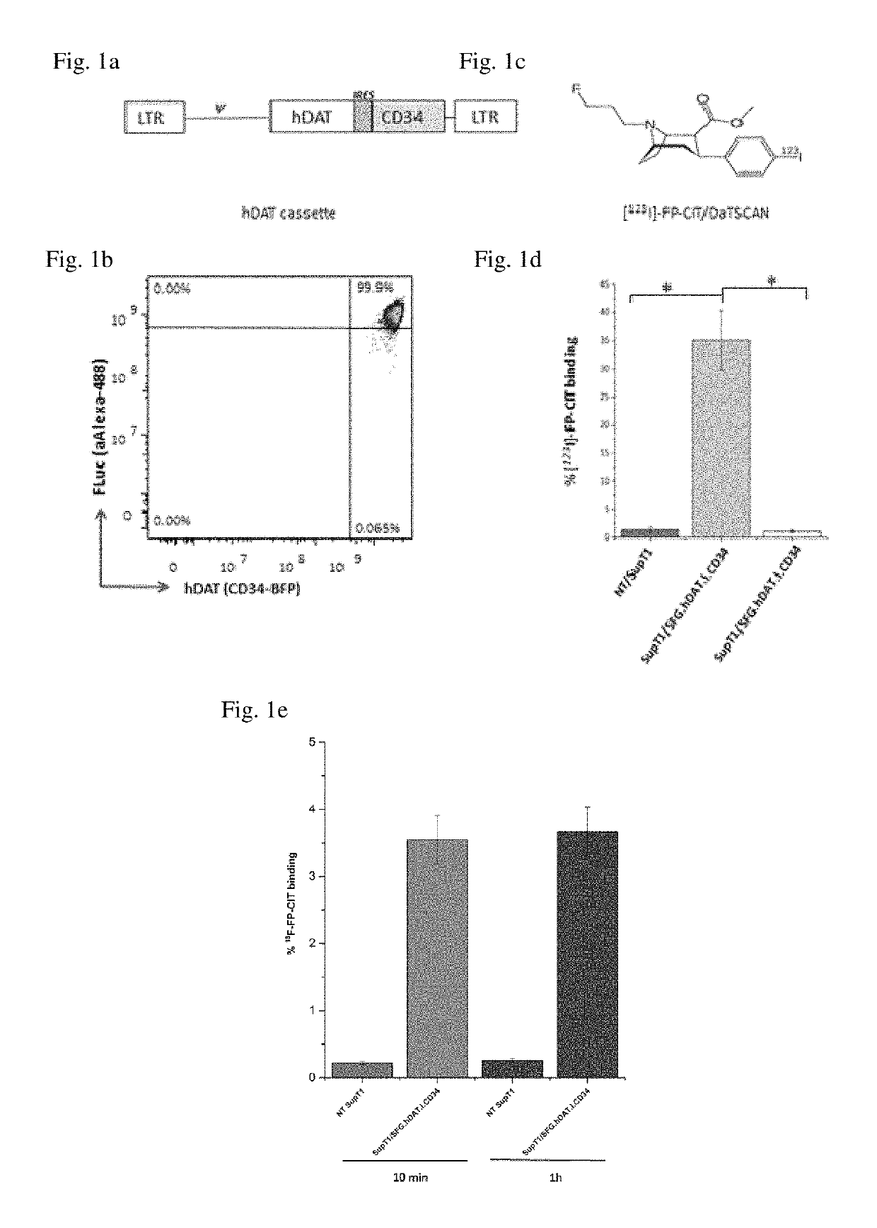 Detecting a therapeutic cell