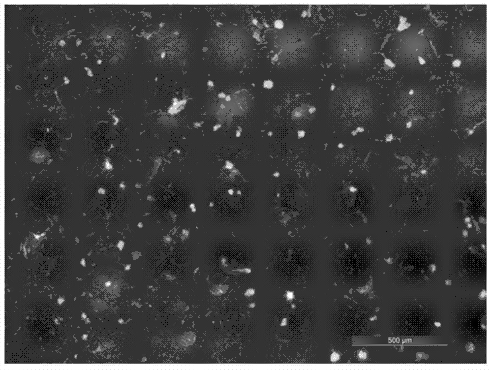 A kind of hydrophobic water-based fluorescent polyurethane coating and preparation method thereof