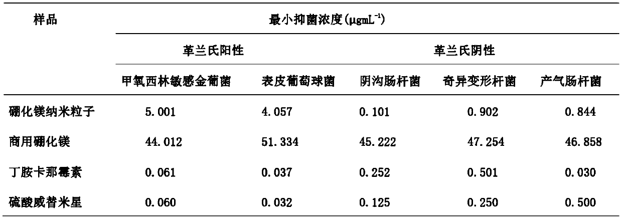 Preparation method of magnesium boride nanoparticles