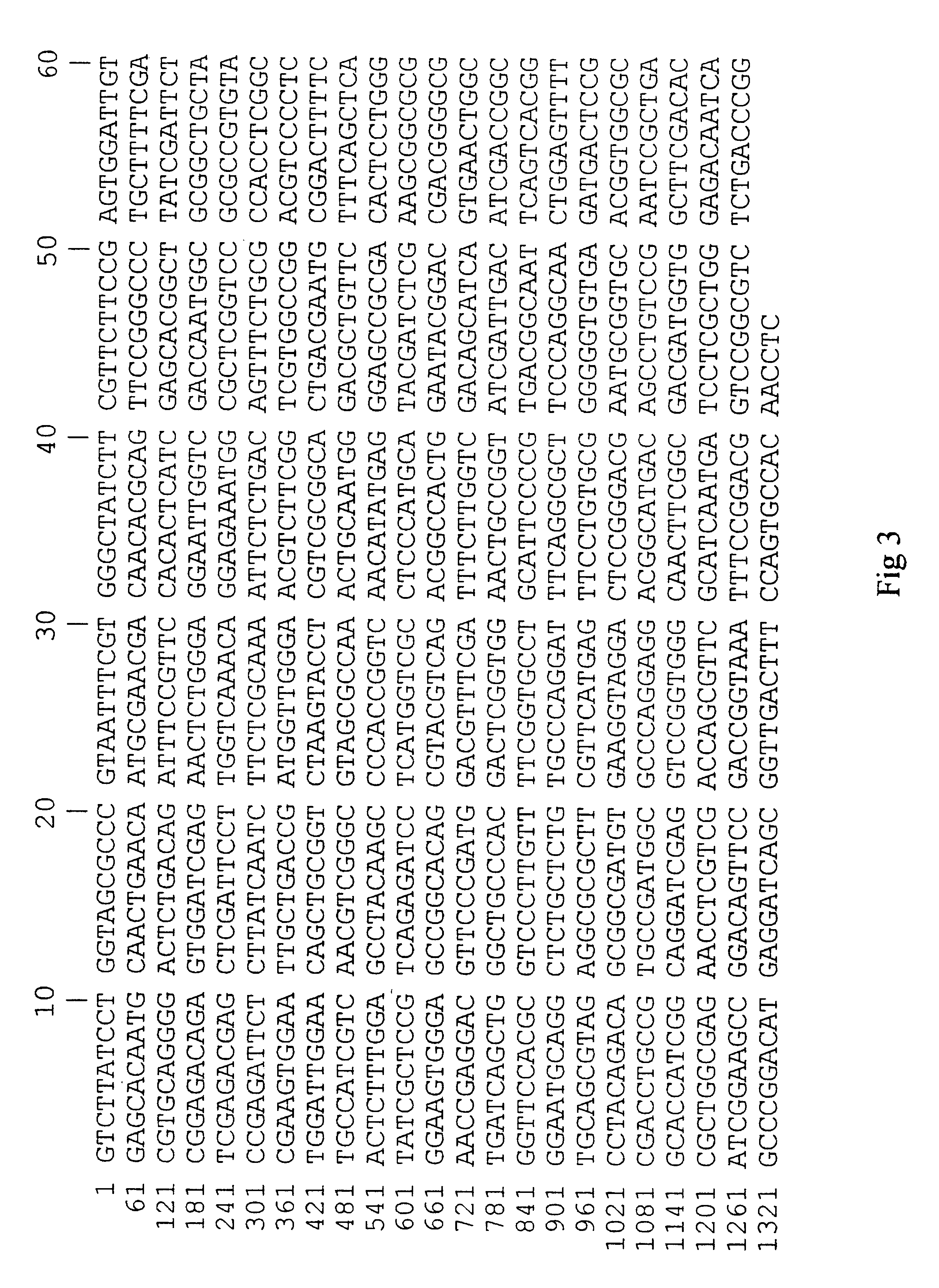 Epoxide hydrolase