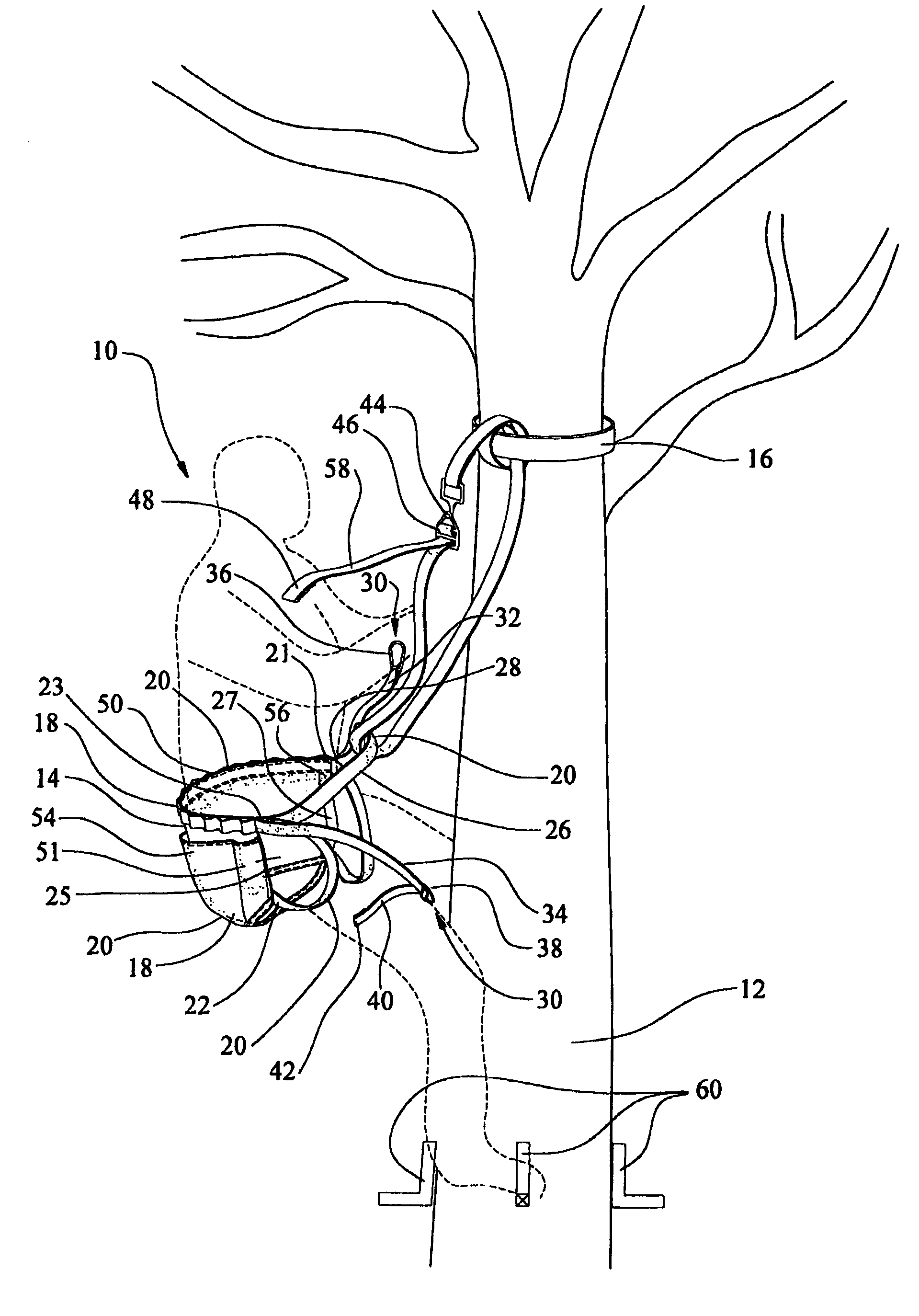 Support harness