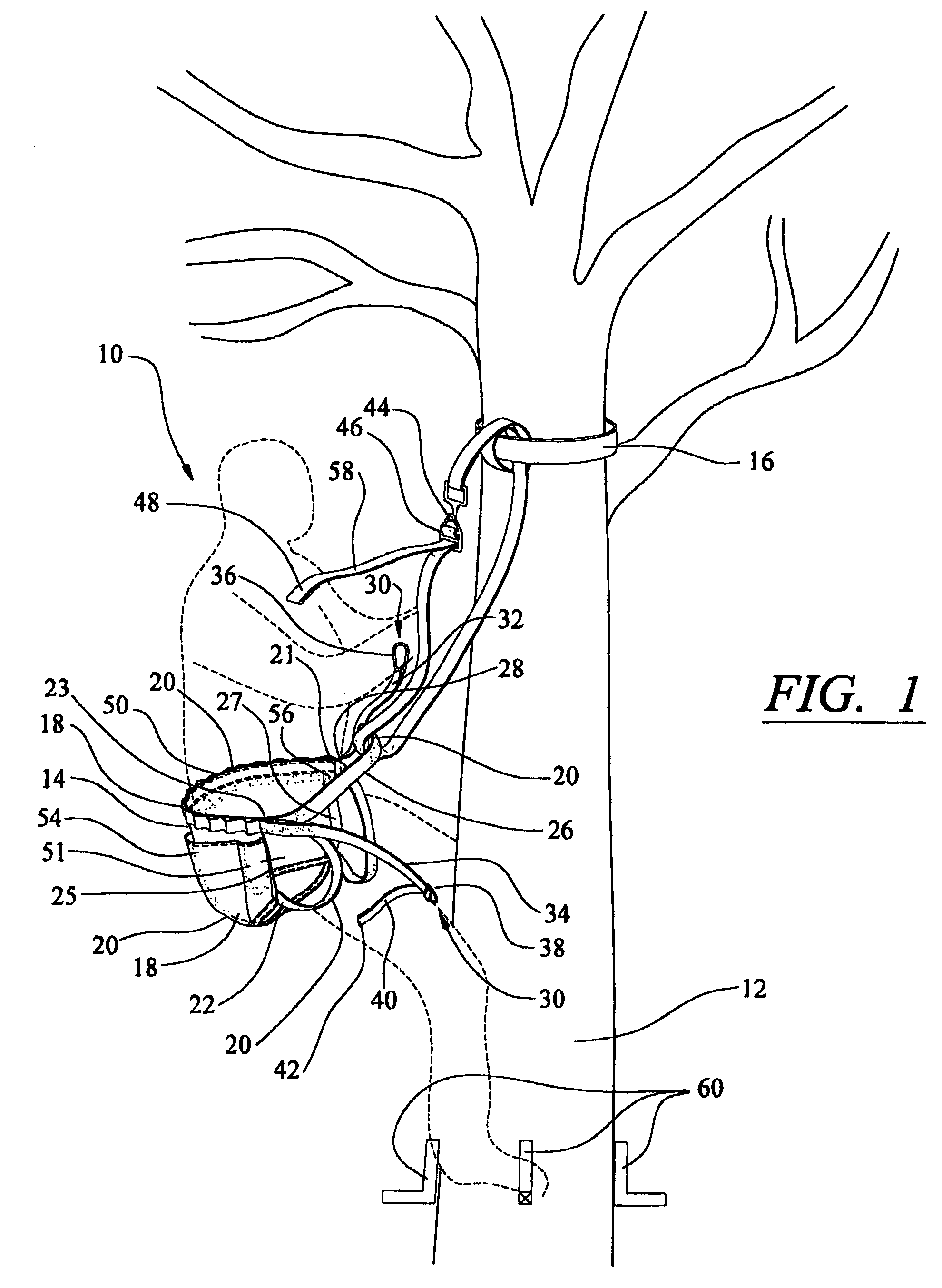 Support harness