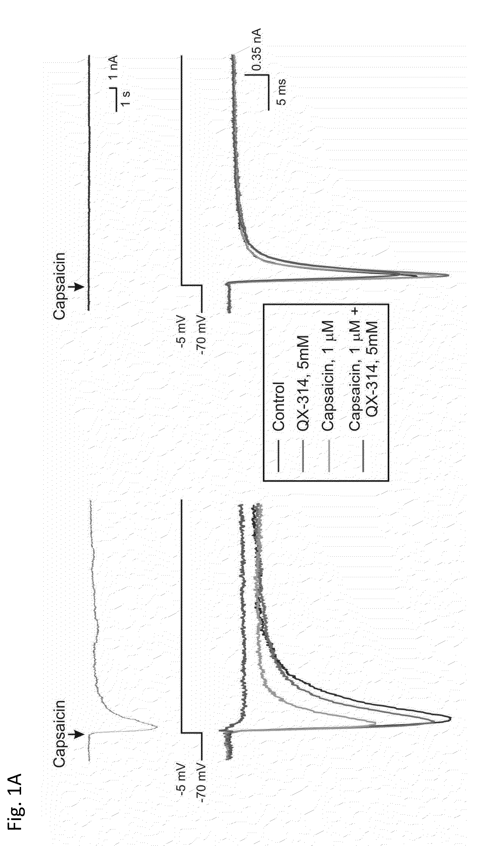 Methods, compositions, and kits for treating pain and pruritis