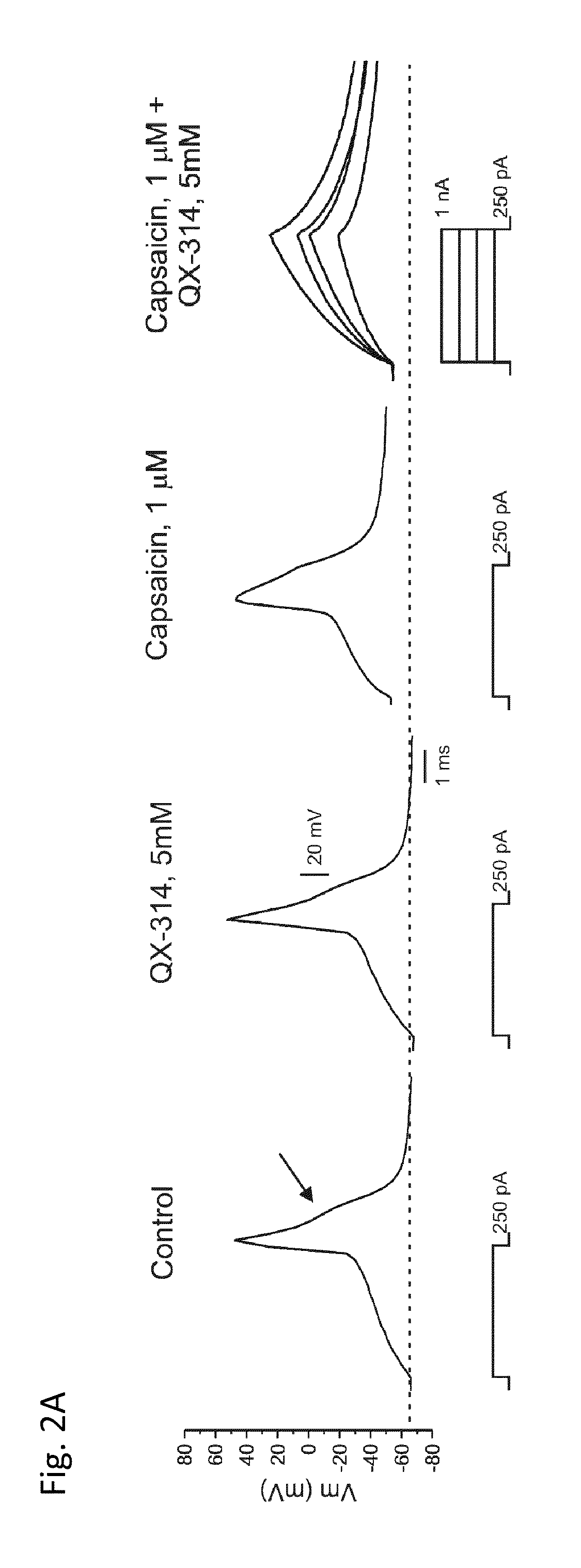 Methods, compositions, and kits for treating pain and pruritis