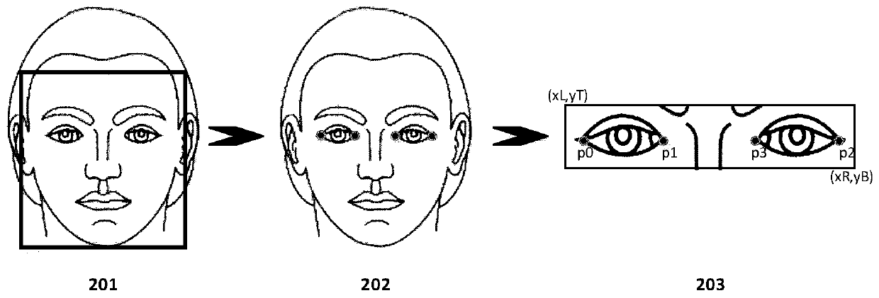 Iris center positioning method based on cascade regression forest and image gray features