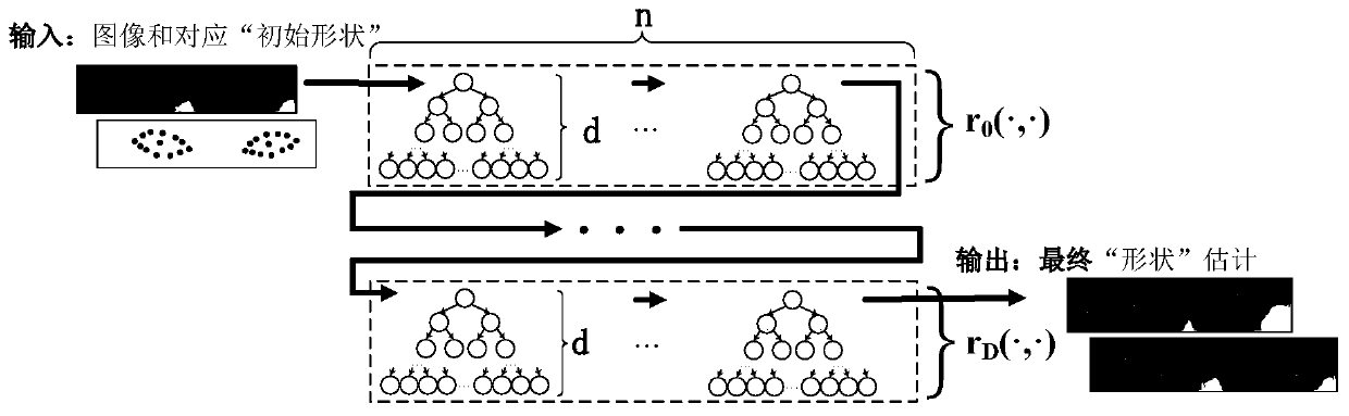 Iris center positioning method based on cascade regression forest and image gray features