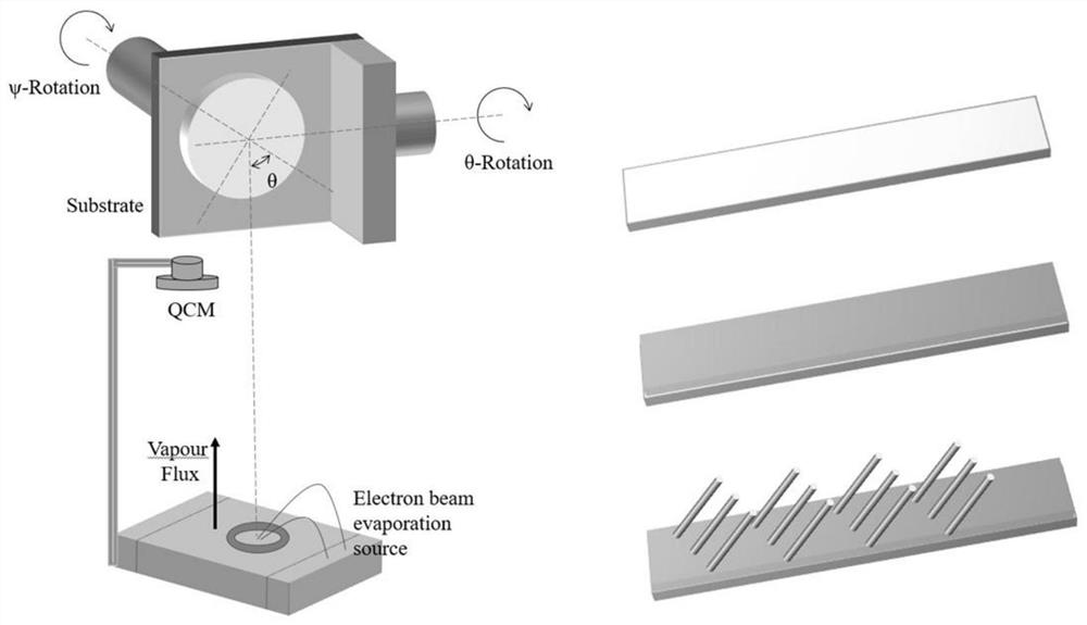 A surface-enhanced Raman spectroscopy detection method combined with gel electrophoresis separation technology