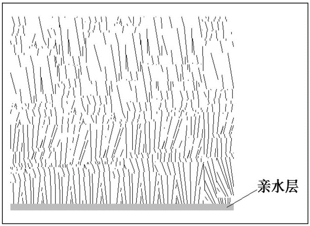 Preparation method of graphene photo-thermal transformation material for sea water desalination and clean water treatment