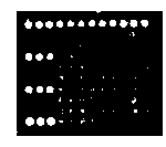 Genetic typing chip of 10 common pathogenic legionella and detection kit