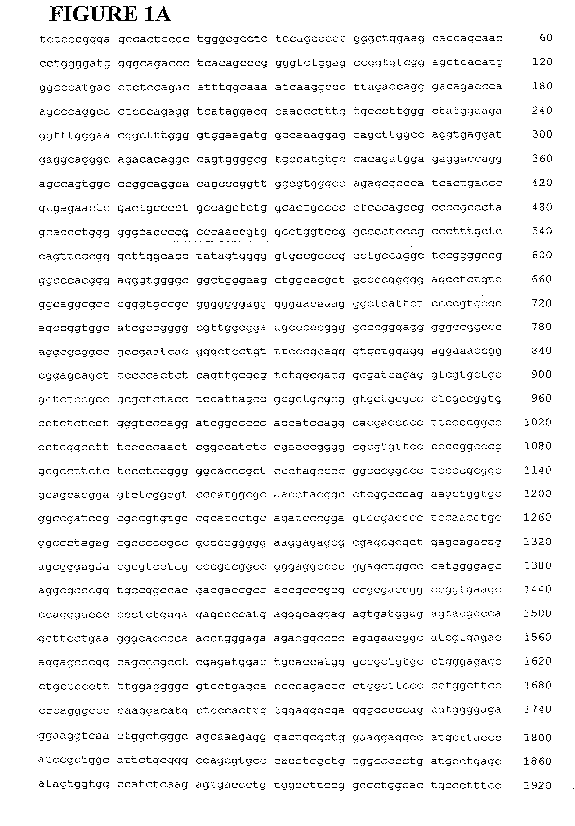 Nucleic Acids For Inhibiting Hairless Protein Expression and Methods of Use Thereof