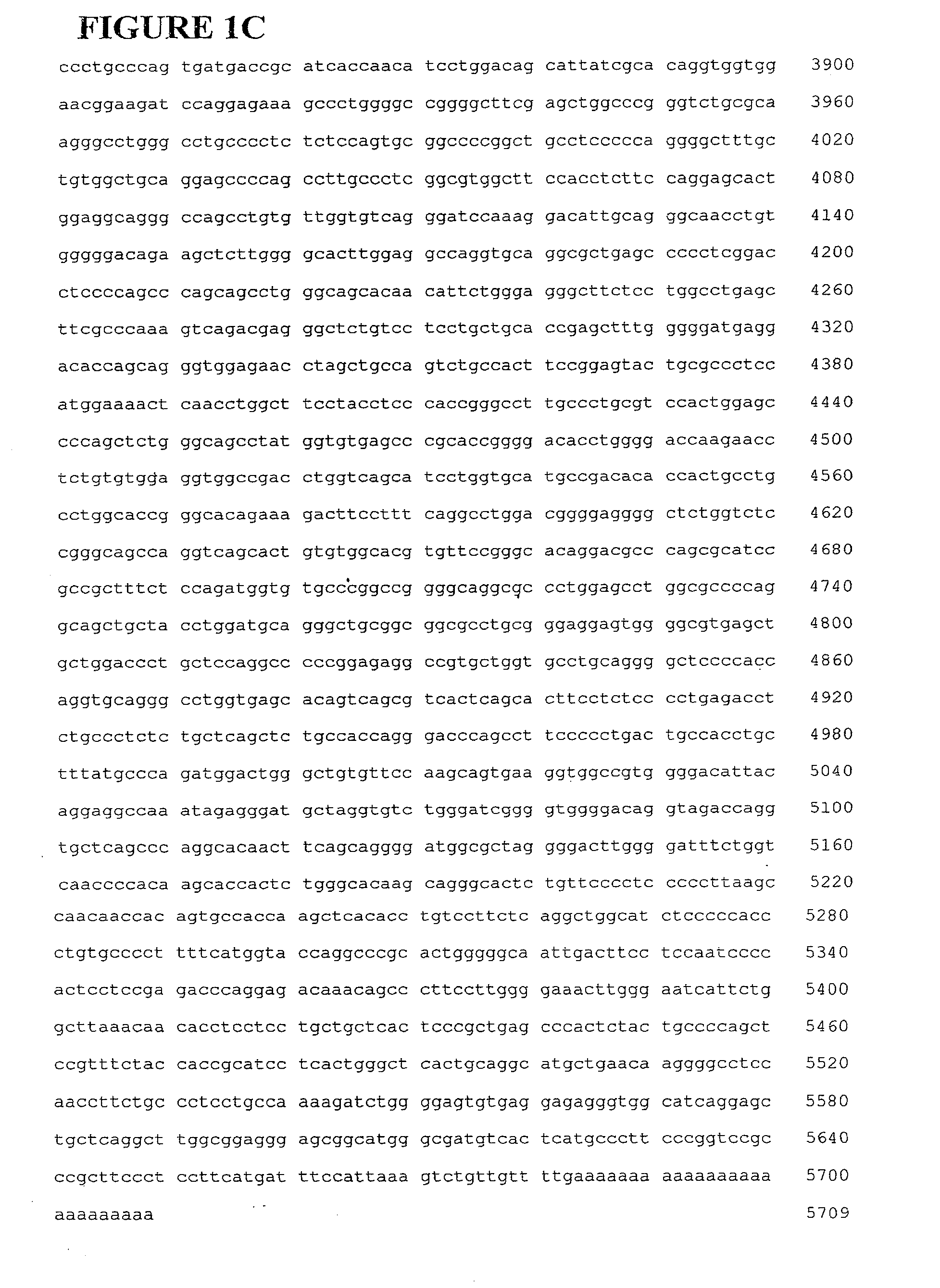 Nucleic Acids For Inhibiting Hairless Protein Expression and Methods of Use Thereof