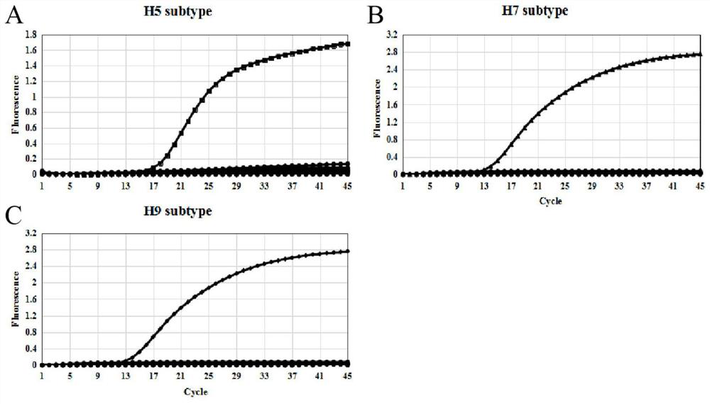 Avian influenza virus H5, H7 and H9 subtype triple fluorescent quantitative RT-PCR detection kit and application thereof