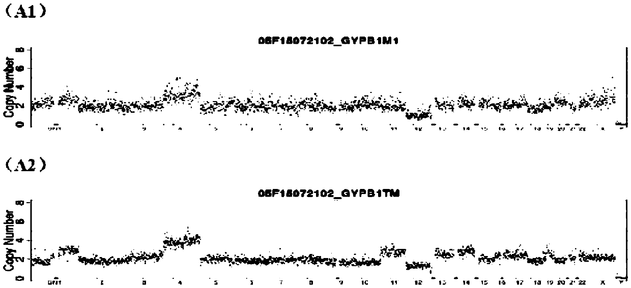 Method for detecting embryo chromosome abnormality by utilizing blastula culture solution