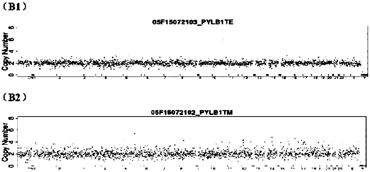 Method for detecting embryo chromosome abnormality by utilizing blastula culture solution