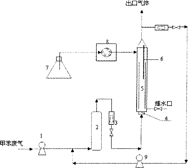 Apparatus and method of airlift three-phase loop bio-reactor for purifying toluene waste gas