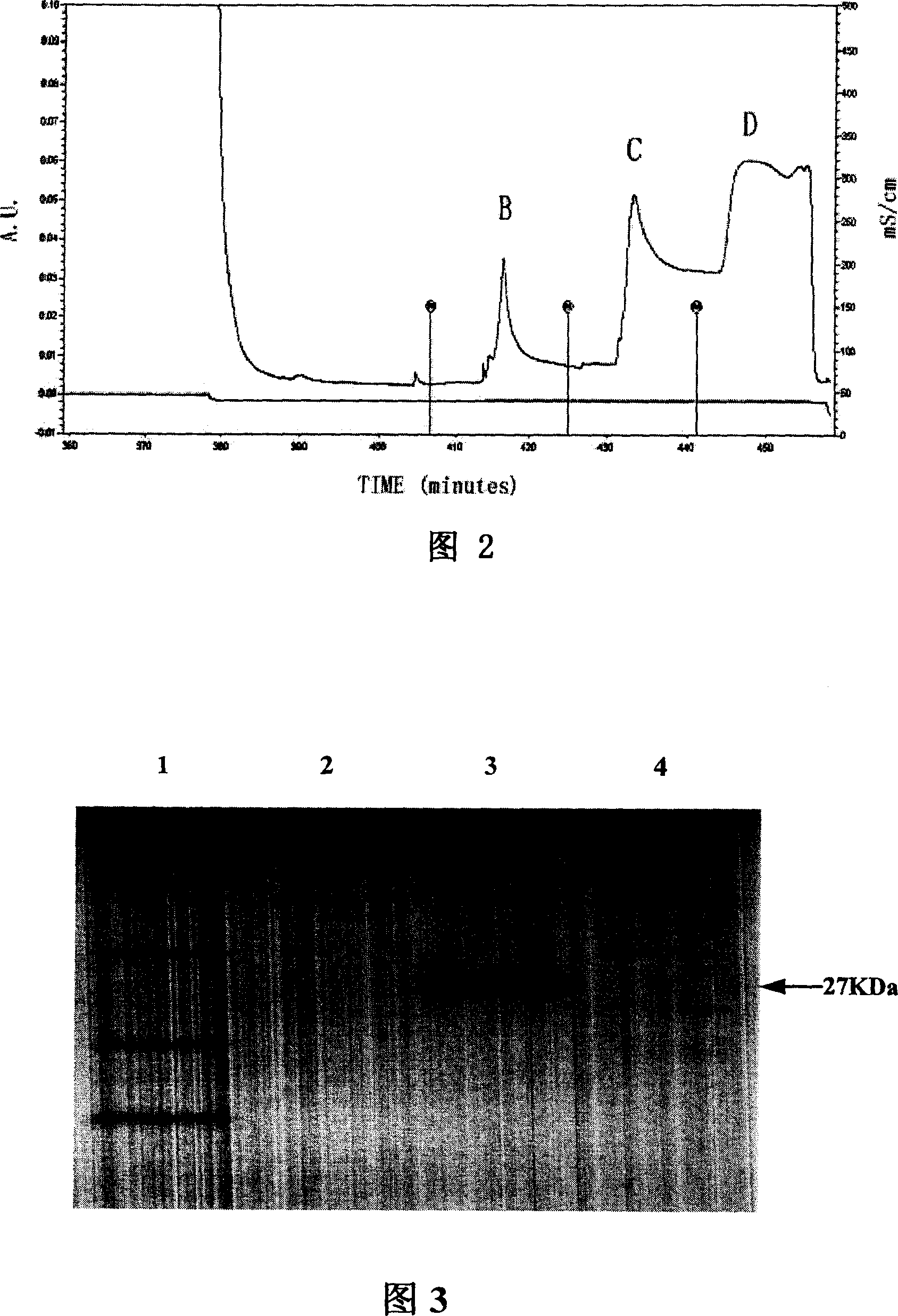 Lipopolysaccharide conjugated protein and monoclonal antibody and preparation method and usage