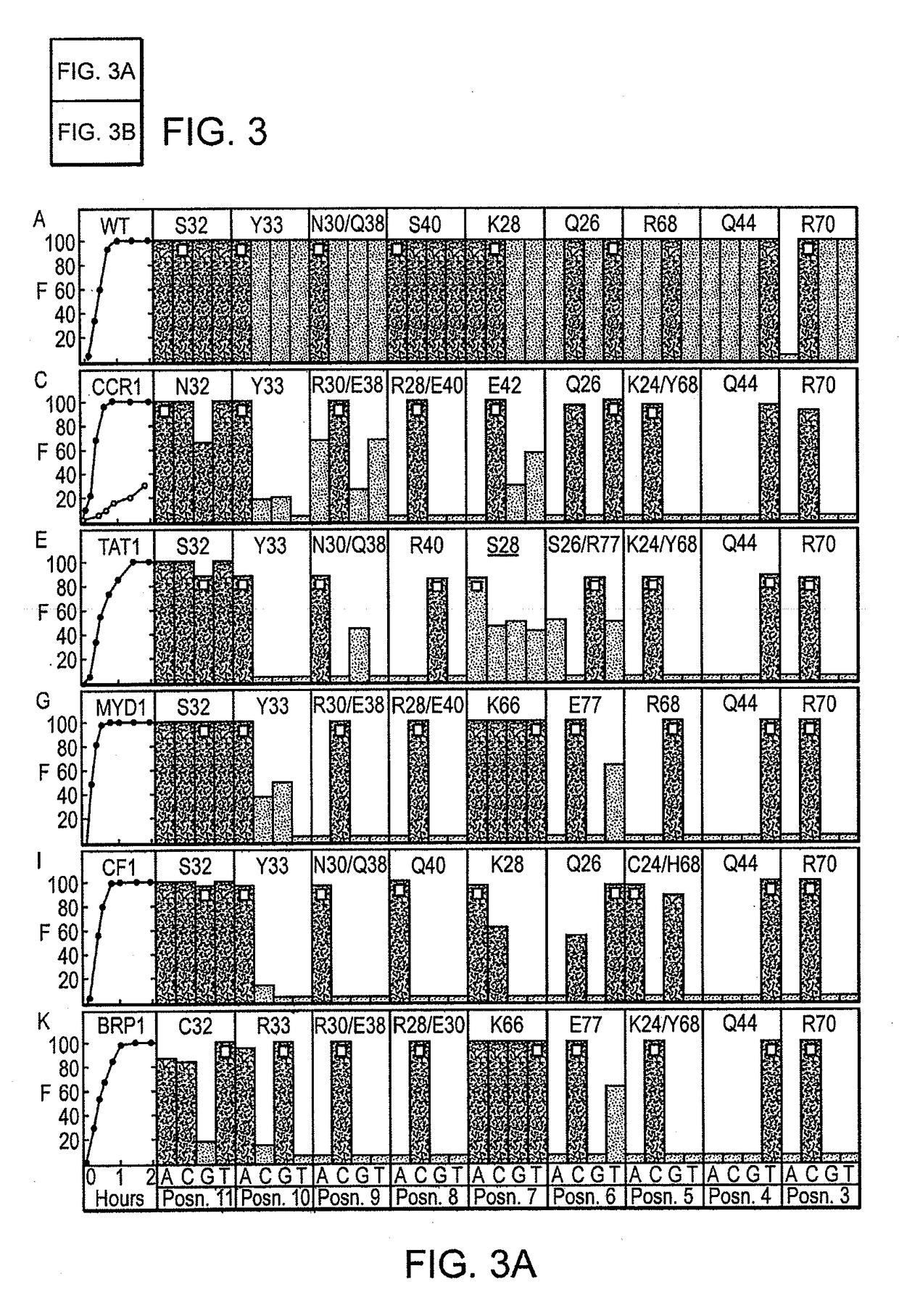 Fusion molecules of rationally-designed dna-binding proteins and effector domains