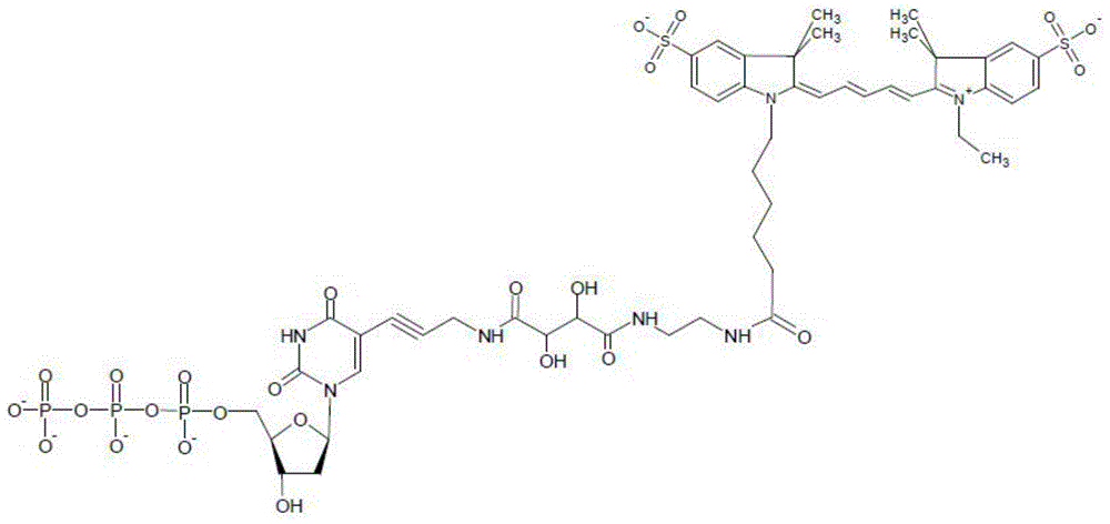 A special modified nucleotide and its application in high-throughput sequencing