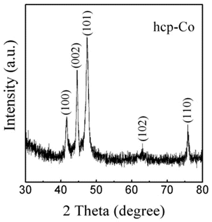 Self-assembly of a two-dimensional sheet-like constituent unit into a three-dimensional dendritic magnetic cobalt nanomaterial