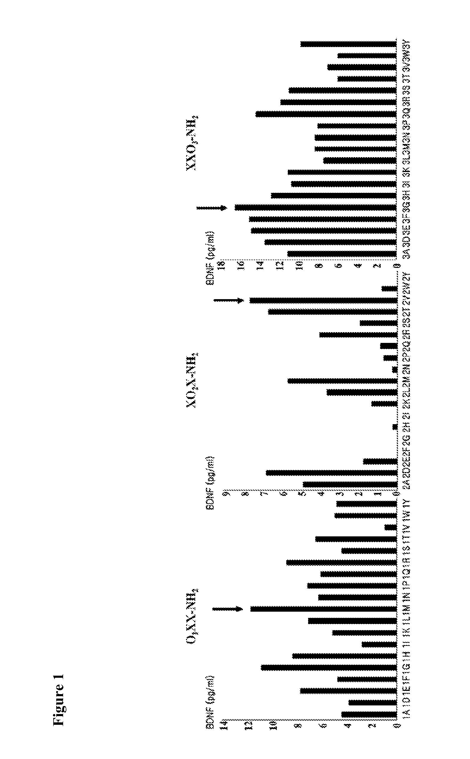 Novel peptide for augmenting and expression of bdnf and pharmaceutical composition for prevention and treatment of neurodegenerative diseases including alzheimer's disease or parkinson's disease, comprising the same