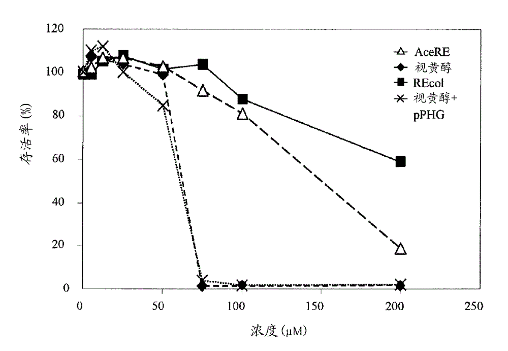 Retinol-modified collagen, method for producing same, and external composition for skin containing same