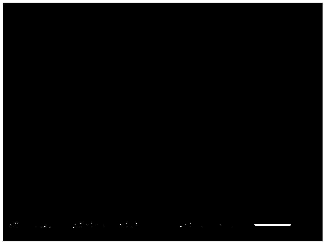 Hollow spherical sodium nickel manganate and preparation method thereof, sodium ion battery positive electrode, and sodium ion battery