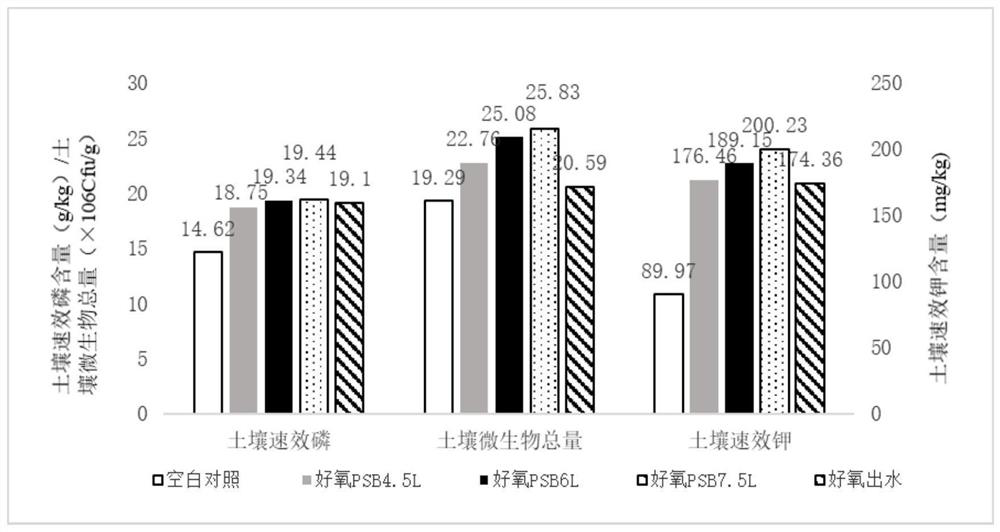 Method for preparing ecological bacterial fertilizer from aerobic pig manure wastewater