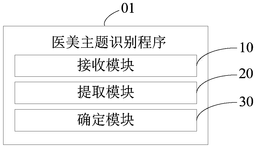 Medical beauty theme identification method, device and equipment and storage medium