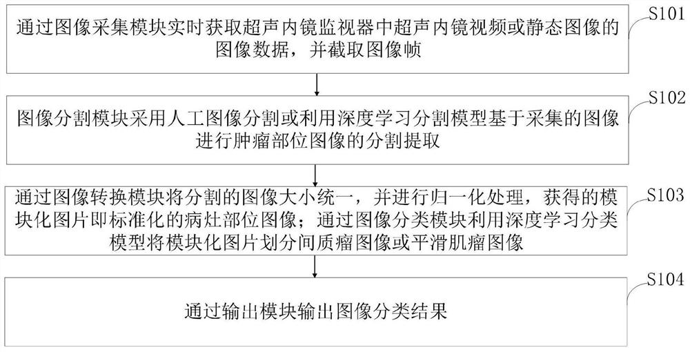 Ultrasonic endoscope, artificial intelligence auxiliary identification method and system, terminal and medium