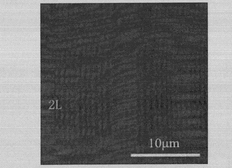 Method for thinning grapheme layer by layer