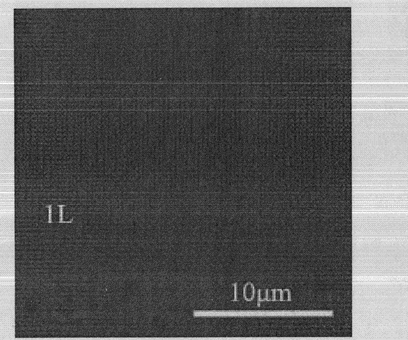 Method for thinning grapheme layer by layer