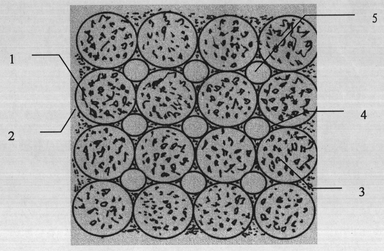 Method for constructing vegetation in ecological concrete spheres on river bank protection slope