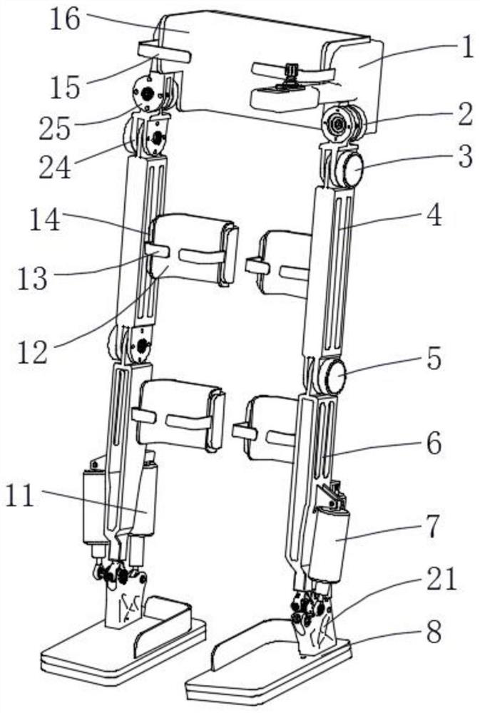 Multi-degree-of-freedom bionic exoskeleton body structure