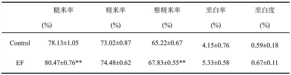 Use of compound microbial fertilizer in reducing content of heavy metals in rice grains