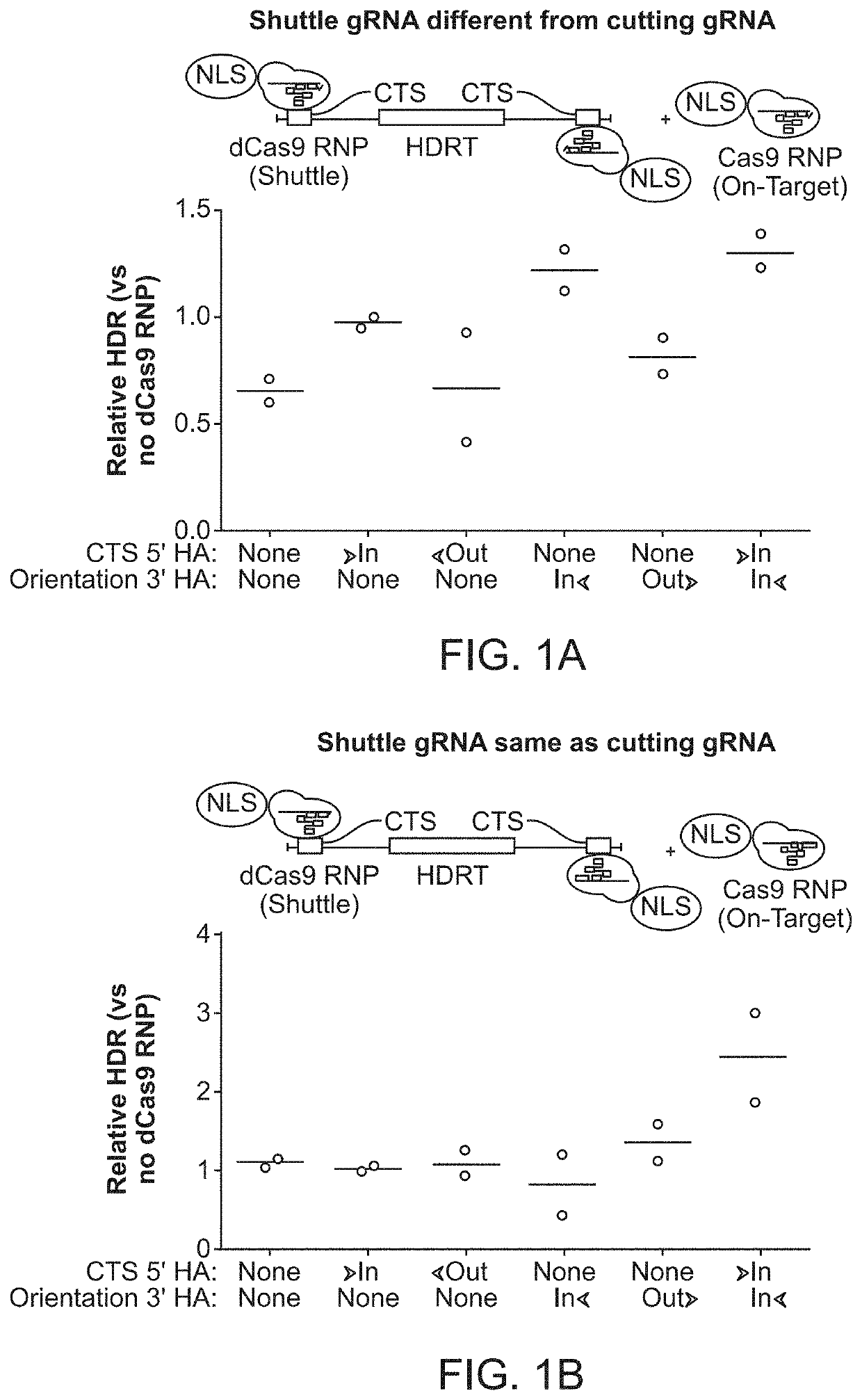 Compositions and methods for modifying a target nucleic acid