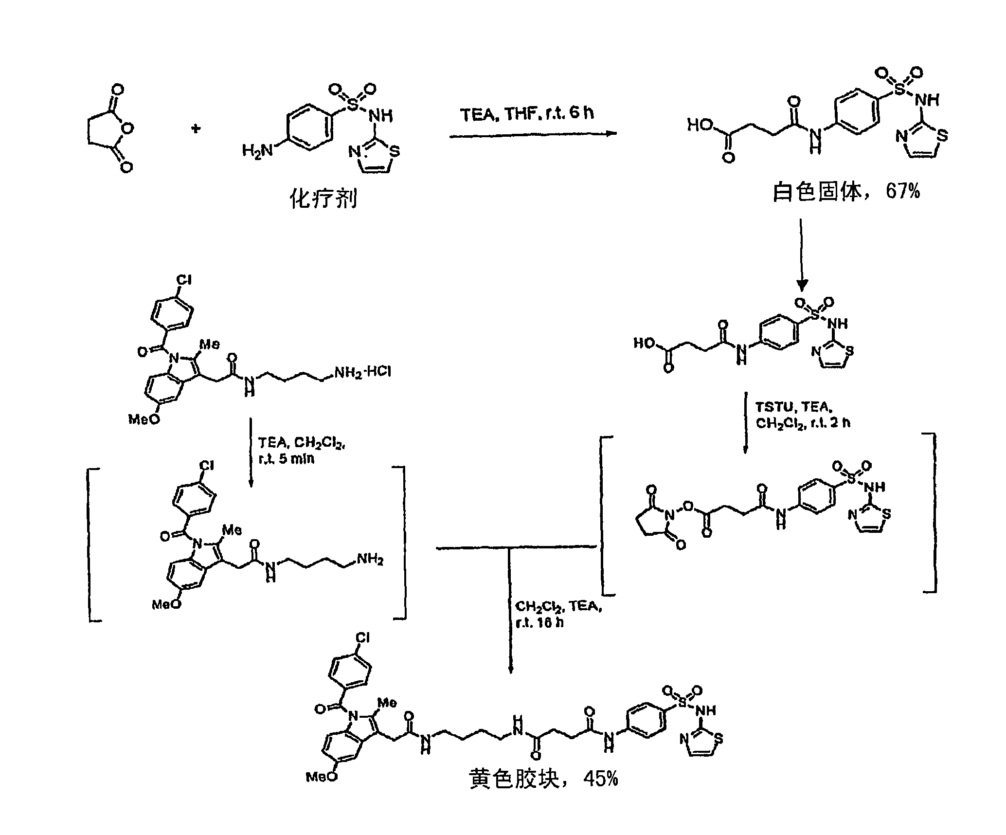 Methods and compositions for diagnostic and therapeutic targeting of cox-2