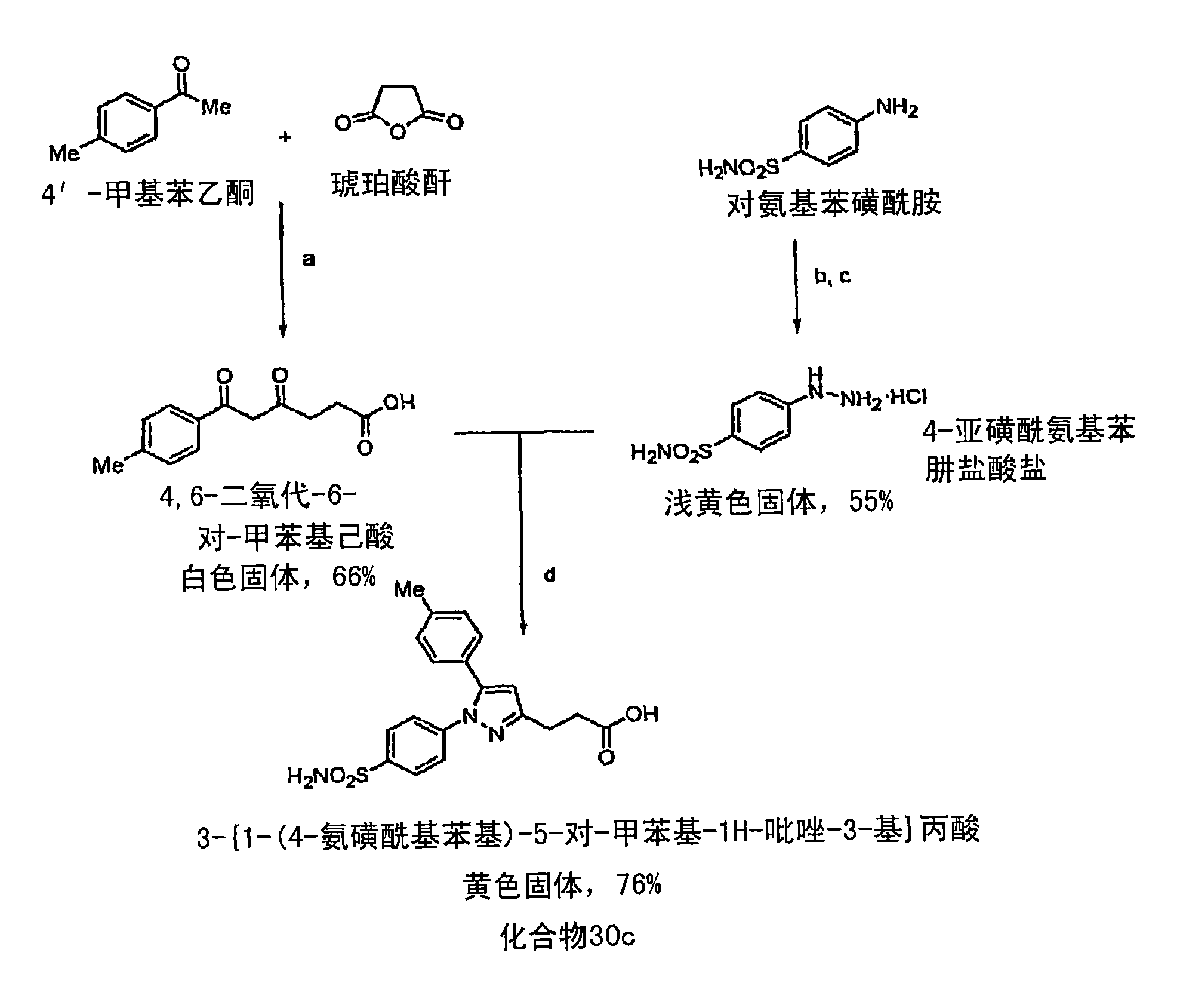 Methods and compositions for diagnostic and therapeutic targeting of cox-2