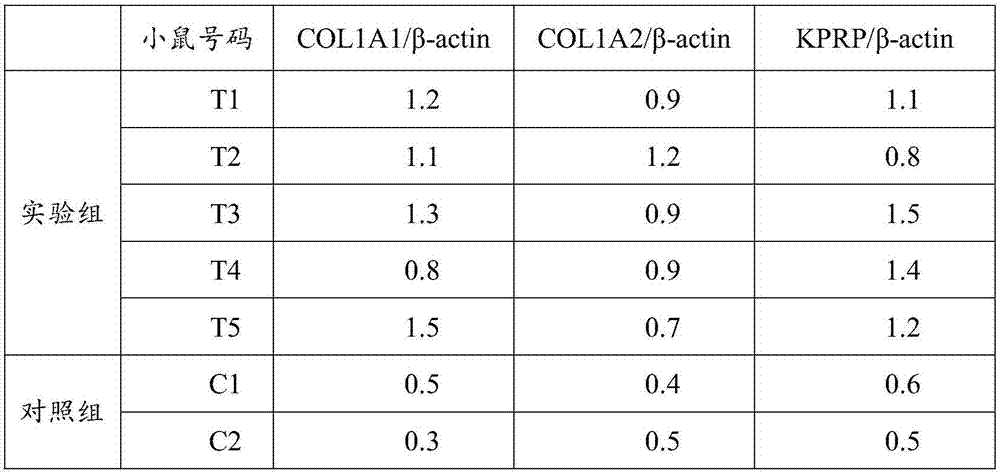 Soybean protein hydrolyzate, preparation method and applications thereof