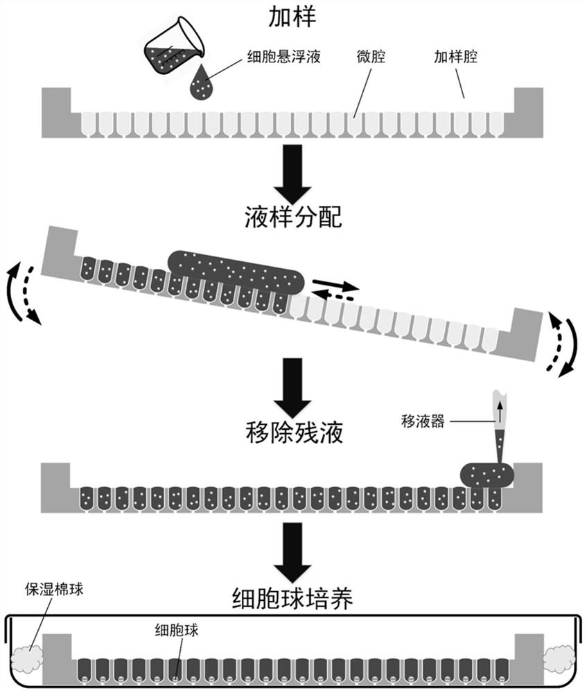 Sitting drop type cell sphere culture chip and use method thereof